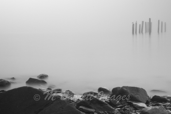 Morning Fog Seward Alaska